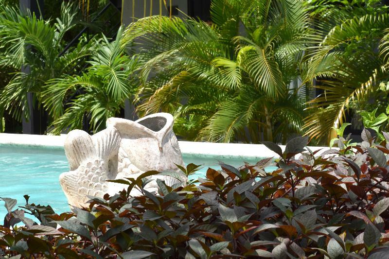 Barronegro (Adults Only) Hotel Tulum Luaran gambar